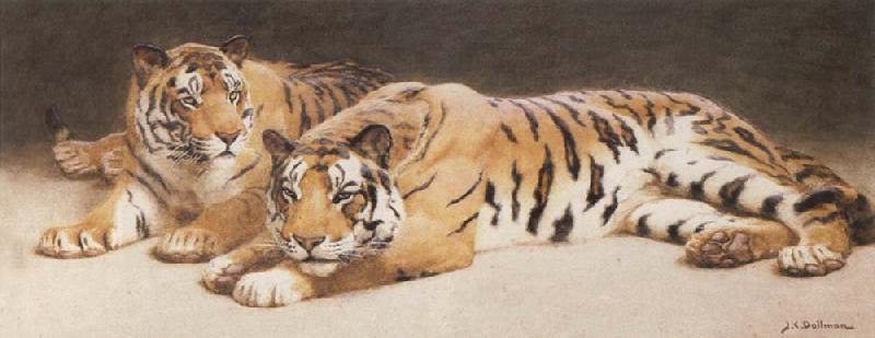 John Charles Dollman Two Wild Tigers France oil painting art